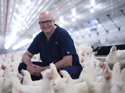 Jan Henriksen with flock of chickens